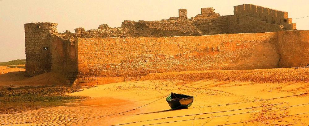 فندق L'Arganier Solitaire Souira Guedima المظهر الخارجي الصورة